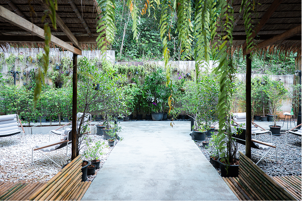 Recovery garden lounge and courtyard